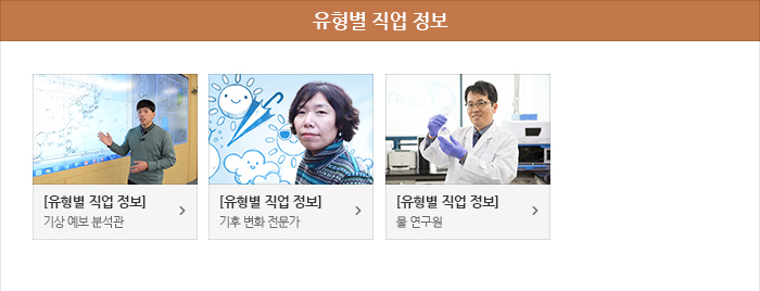 직업 정보