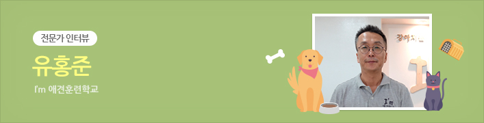전문가 인터뷰 | 유홍준 I’m 애견훈련학교