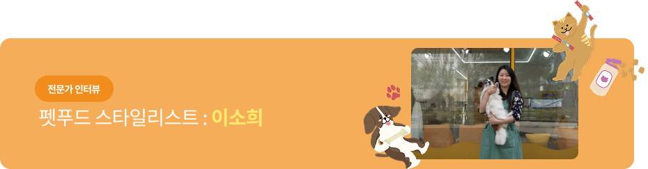 전문가 인터뷰 - 펫푸드 스타일리스트 : 이소희