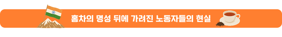 홍차의 명성 뒤에 가려진 노동자들의 현실