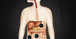 과학 가상실험실