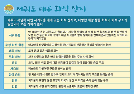 지질 소개